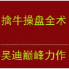 吴迪大炒家巅峰力作 擒牛操盘全术 牛股起涨临界点 股票培训视频课程