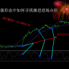 MSG迈盛 金...