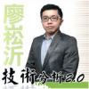 廖崧沂技术分析...